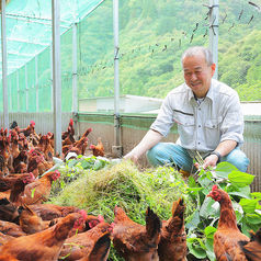 幻の地鶏土佐ジローを食した事はありますか？