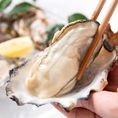 産地直送の新鮮な生牡蠣を、濃厚な旨みと磯の香りそのままにご堪能いただけます。口に入れた瞬間に広がるクリーミーな味わいと、とろけるような口当たりが魅力の一品。噛むほどに海の恵みが広がり、素材本来の美味しさをしっかり感じていただけます。お酒との相性も良く、ぜひ味わっていただきたい逸品です。