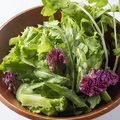 料理メニュー写真 みのる農園直送野菜のグリーンサラダ