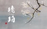 琥珀のロゴ