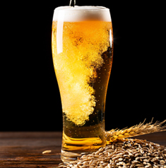 馬肉酒場 ぶらいあん 二俣川のコース写真