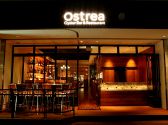 Oyster Bar & Restaurant Ostrea オストレア 六本木店