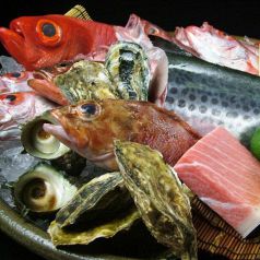 本日の美味しい新鮮鮮魚