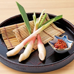 谷中生姜 金山寺味噌添え