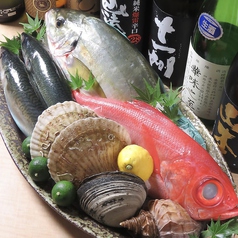 美味しい魚を楽しんでいただきたい！