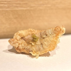 鴨肉(1p)