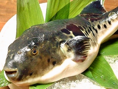 居酒屋 町家 まちや のコース写真