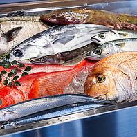 新鮮な食材を使用しています♪