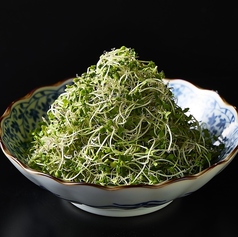 ブロッコリースプラウト　