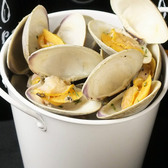 【ポイント３】船橋産ホンビノス貝の豪快！バケツ盛♪