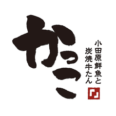 小田原鮮魚と炭焼牛たん かっこ小田原店のコース写真