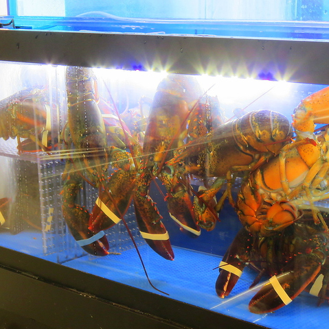 L O Bバル Higoya 下通 下通り 通町筋 銀座通り ダイニングバー バル ネット予約可 ホットペッパーグルメ