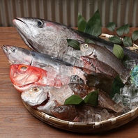 市場直送の鮮魚と国産わら焼きで味わう本格海鮮料理