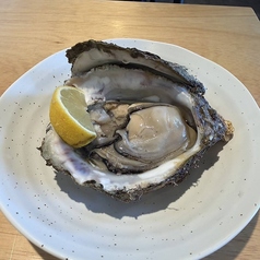 【半世紀続く能登穴水の味】カフェ&ダイニングバー フリースタイル 野々市店のコース写真