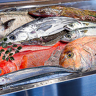 新鮮な食材を使用しています♪