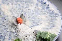 とらふぐ刺し(季節限定)