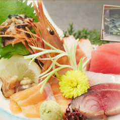 ROBATA 元気の特集写真