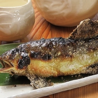 鮮度が命、技が冴える。うおひごの魚料理。