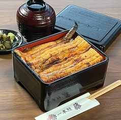 【上】3/4尾