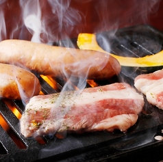 TORIMARU トリマル 川越店の特集写真