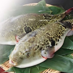 割烹としのコース写真