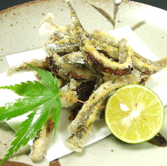〈郡上〉あじめ泥鰌唐揚げ