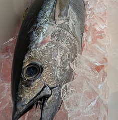 大衆酒場タクミのおすすめポイント1