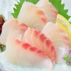 活〆鯛刺