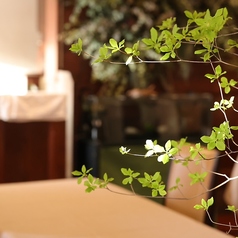 Bubula ブブラの雰囲気2