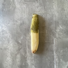 長ネギパン
