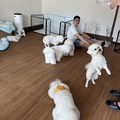 料理メニュー写真&nbsp;ビションフリーゼ