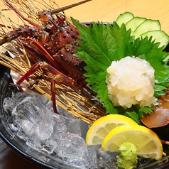 銀天ゆずや 宮崎のコース写真