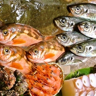 【こだわりの旬の食材】産地直送の鮮魚を使ったお料理