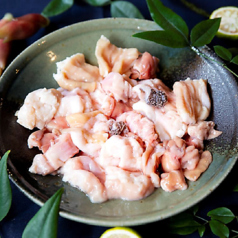 千力 クボタ店の特集写真