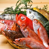 毎日仕入れる新鮮な魚を豪快にさばき提供しております。