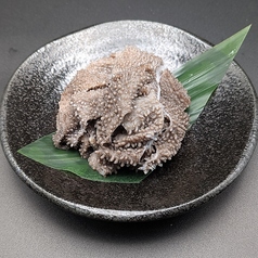 センマイ
