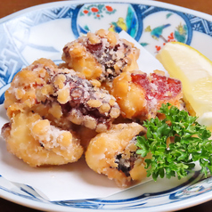 能登岩だこ唐揚げ