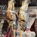 旬の鮎をじっくりと炭火で焼き上げました。身はふわっとしており頭から尻尾まで美味しくいただけます