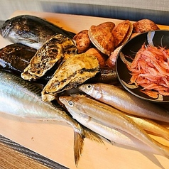 さかな家 碧のコース写真