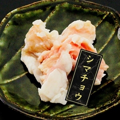 シマチョウ(テッチャン)