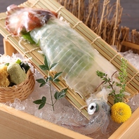大人気！数量限定の活イカ！