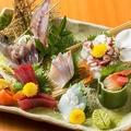 料理メニュー写真 刺身五点盛り