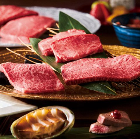 トラジ つくば店 焼肉 つくば駅 焼肉 ホルモン ホットペッパーグルメ