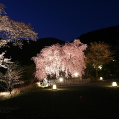 松山閣 松山本店の雰囲気2