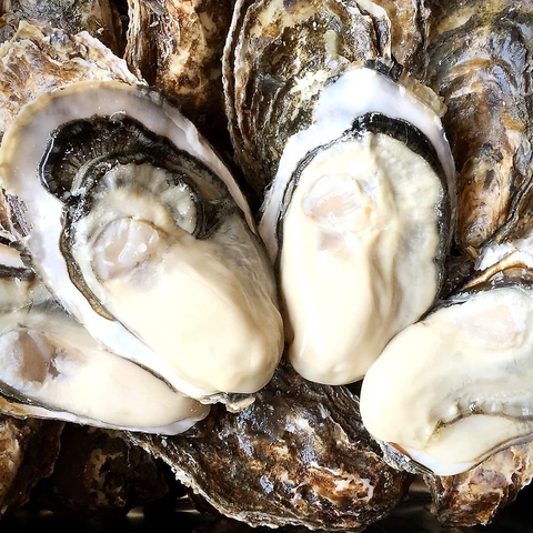 大助といえば「地産地消」！北海道で獲れ北海道で食べる海鮮は日本一！ぜひご堪能あれ