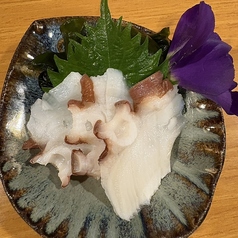 タコ