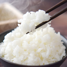 炊き立てご飯がおいしい！