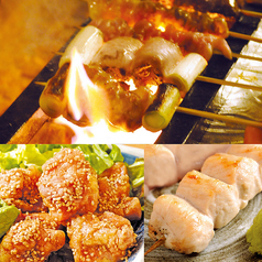 からげんきのコース写真