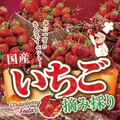 ピッツェリアマリノ 柏高島屋店のおすすめ料理1