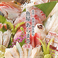 餃子の通販サイト(川崎)